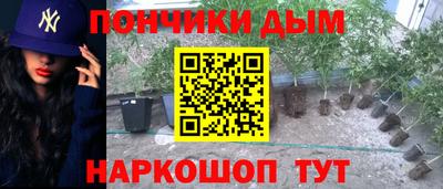 шишки Краснокаменск