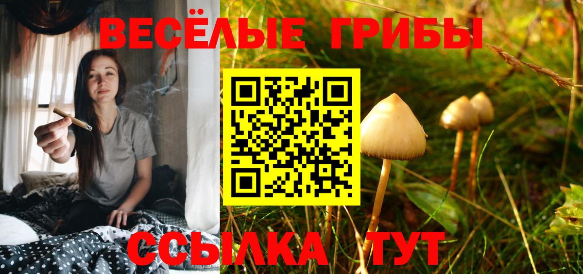 Псилоцибиновые грибы мицелий  Вход с VPN  Киров 