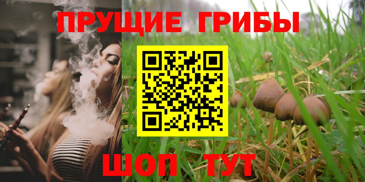 Псилоцибиновые грибы Magic Shrooms Киров